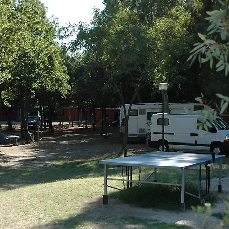 Int. Vulcano Solfatara Pozzuoli