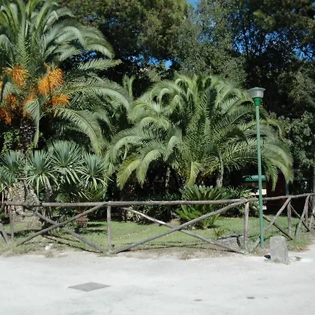 Int. Vulcano Solfatara Pozzuoli